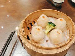 -岭南小生·粤港点心(南门口店)