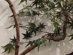 -耳艺采耳·足疗·按摩SPA(市桥店)