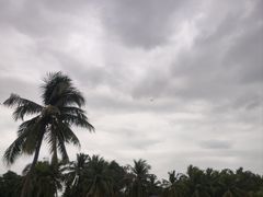 -三亚南山文化旅游区