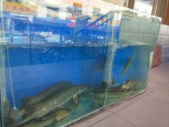 -新疆风味冷水鱼庄(友谊峰路店)