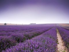 -牛背梁国家森林公园