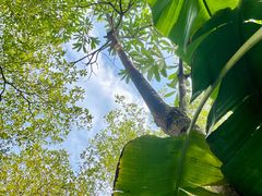 -厦门途易蓝罗约海景温泉酒店(园博苑地铁站店)