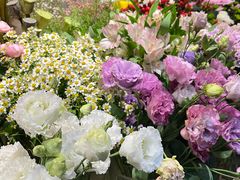 -爱尚幸福鲜花(上地实体店)