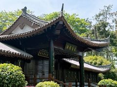 -潜山国家森林公园
