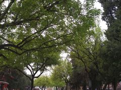 -大雁塔北广场音乐喷泉