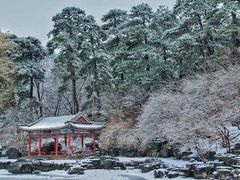 -香山公园