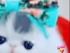 -鱼谦脆皮烤鱼(北一路万达店)