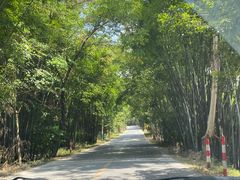-红山村