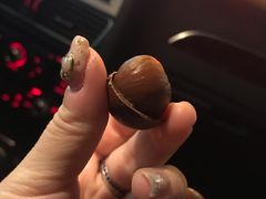 -阿男野栗王(金门路店)