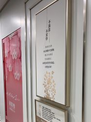 -镁连社·美联社