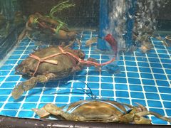 -许爷家·生态湖鲜(徐汇日月光店)