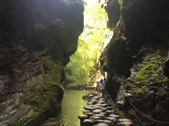 -牛背梁国家森林公园