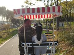 -洨河生态公园