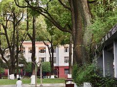 -四川大学(望江校区)