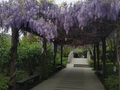 -白马涧龙池景区