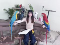 -吉隆坡雀鸟公园