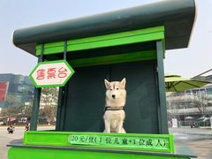 -丙申臺火锅