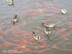 -前关湿地公园