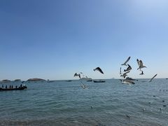 -银沙滩浴场