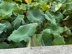 -丝绸小镇荻港古村