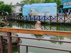 -海合安武汉极地海洋公园