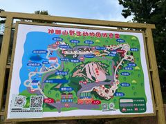 -西霞口神雕山野生动物世界