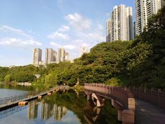 -重庆彩云湖湿地公园