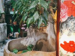 -食德喜·阳山鸡王食研基地