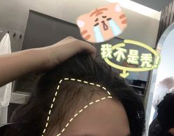 点击看大图 -蚂蚁造型沙龙