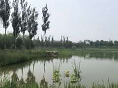 -张家湾公园