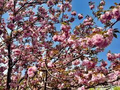 -无锡市市民中心