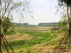 -东郊湿地公园