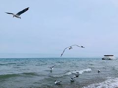 -青海湖国家重点风景名胜区