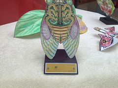 -鸢飞潍坊菜馆(鸢飞大酒店)