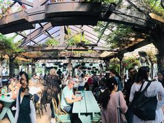 -The Grounds of Alexandria