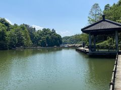 -千岛湖东南湖区