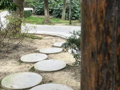 -艾溪湖湿地公园