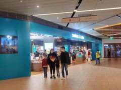 -顺电·脉(浦东嘉里城店)