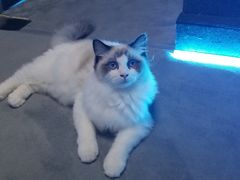 -零纪元VR体验馆·桌游(黄浦店)