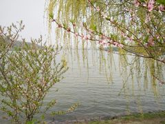 -羊山湖公园