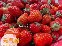 -KOMUGI 小麦家(新地假日广场店)