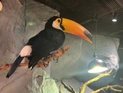 -Zoolung Zoolung动物主题公园(海信广场店)