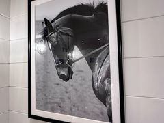 -Polo Ralph Lauren(青浦百联奥特莱斯广场店)