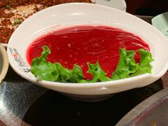 鲜鸭血-晓宇重庆火锅(赛格国际购物中心店)