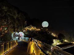 -巴倒烫陆派火锅山庄(南山总店)