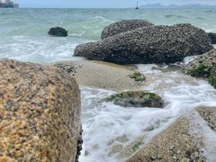 -玫瑰海岸文化旅游度假区