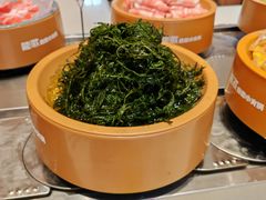 -龍歌自助小火锅(李沧丽达店)