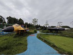 -空港花田景区