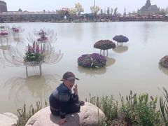 -荷兰花海