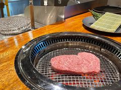 -观品和牛